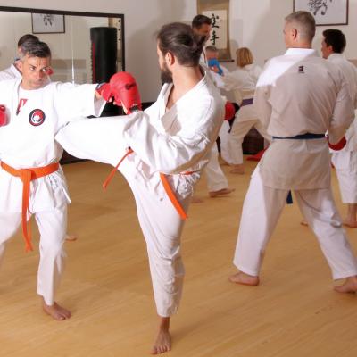 Erwachsenen Kimura Karatetraining Markkleeberg Leipzig